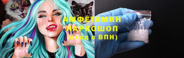 ешки Аркадак