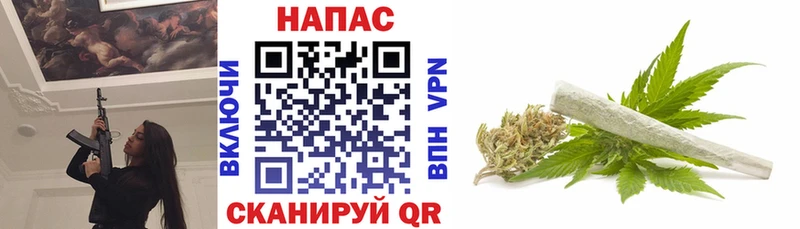 Канабис конопля Верещагино